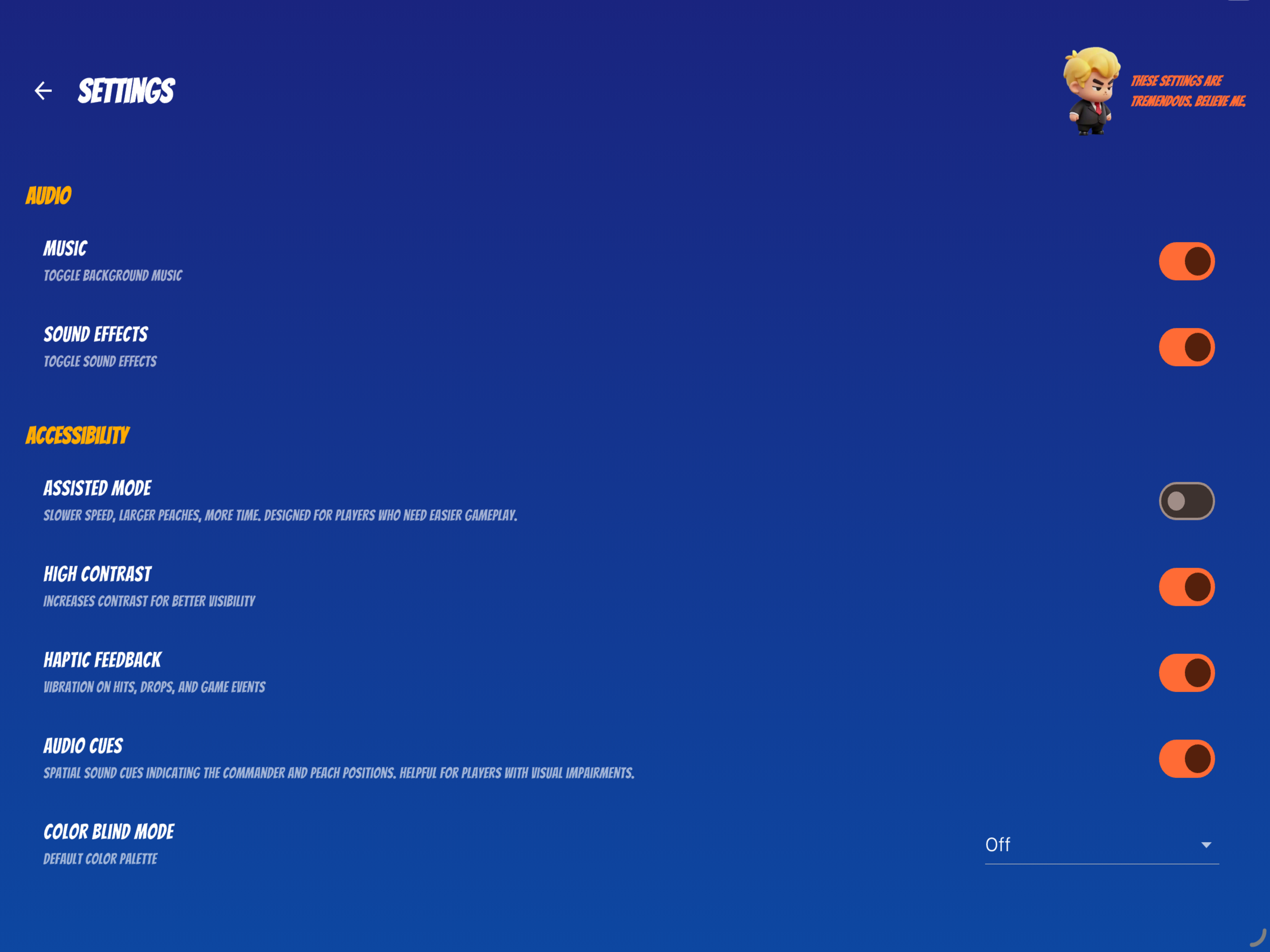 Settings on iPad